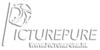 picturepure.nl Logo