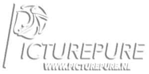 picturepure.nl Logo